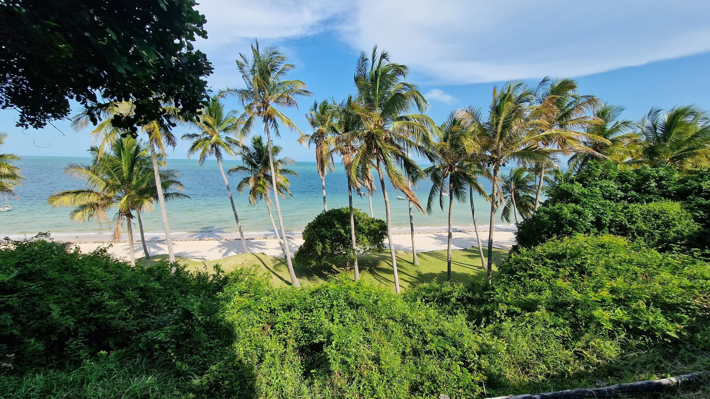 A palm-fringed beach and turquoise water at Vilankulo