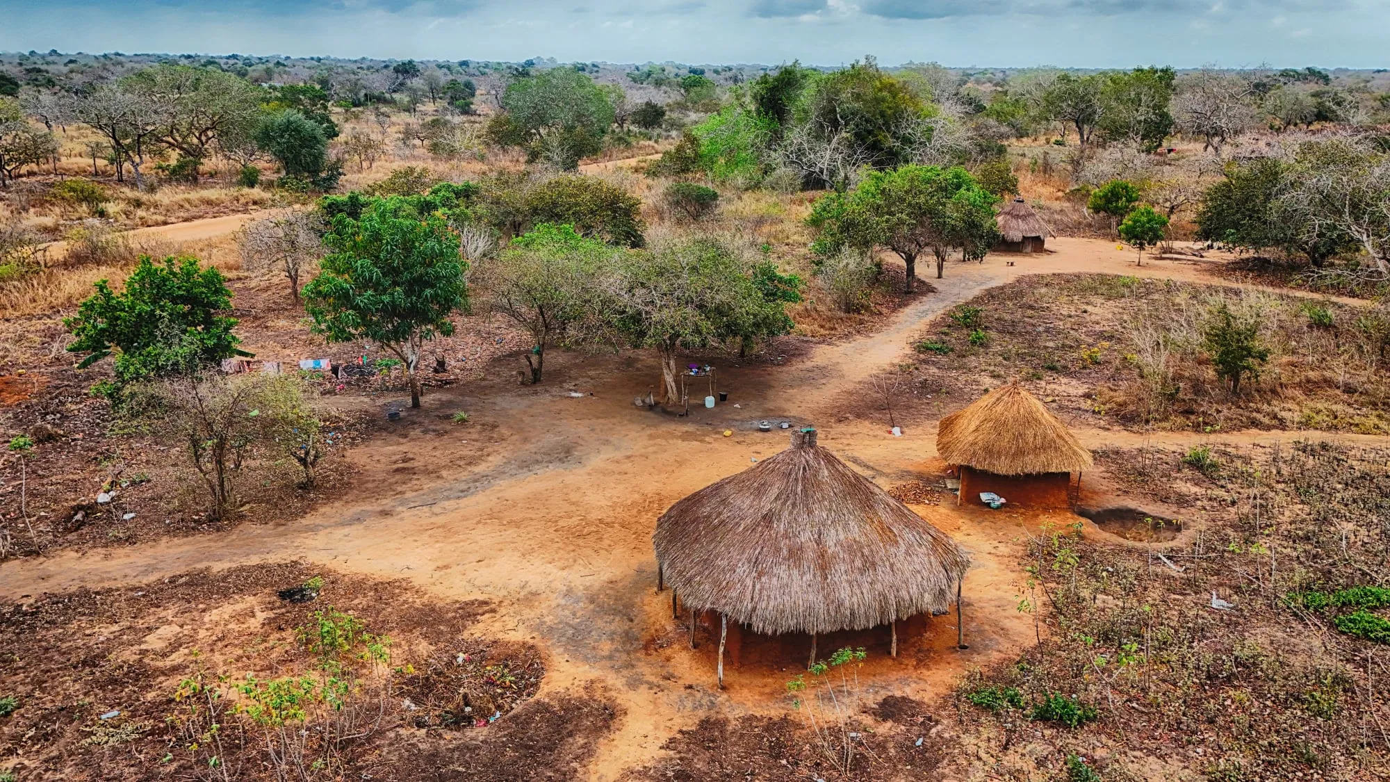 Traditional thatched homes in the bush outside Vilankulo